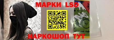 крисы Беслан