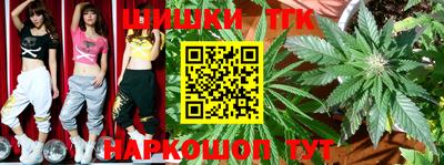 шишки Бийск