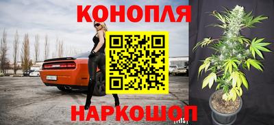 крисы Беслан