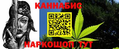 шишки Бийск