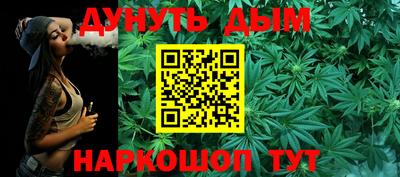 шишки Бийск
