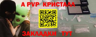 шишки Бийск