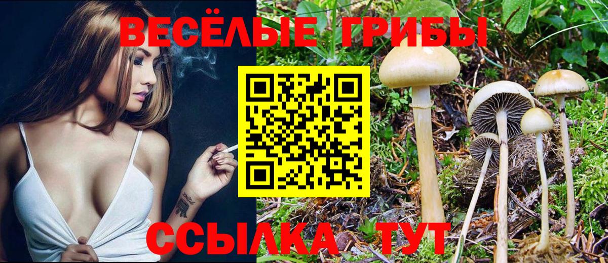 Псилоцибиновые грибы прущие грибы Ишимбай